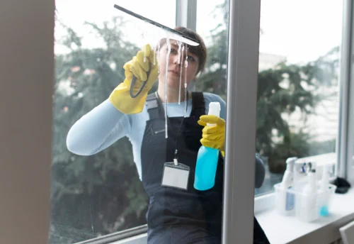 Nettoyage de vitres intérieures et extérieures à Valsonne